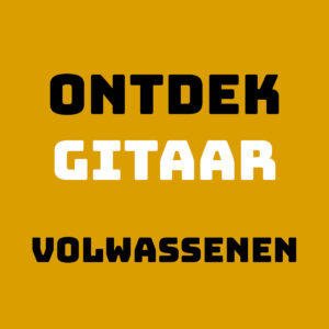 Ontdek gitaar volwassenen